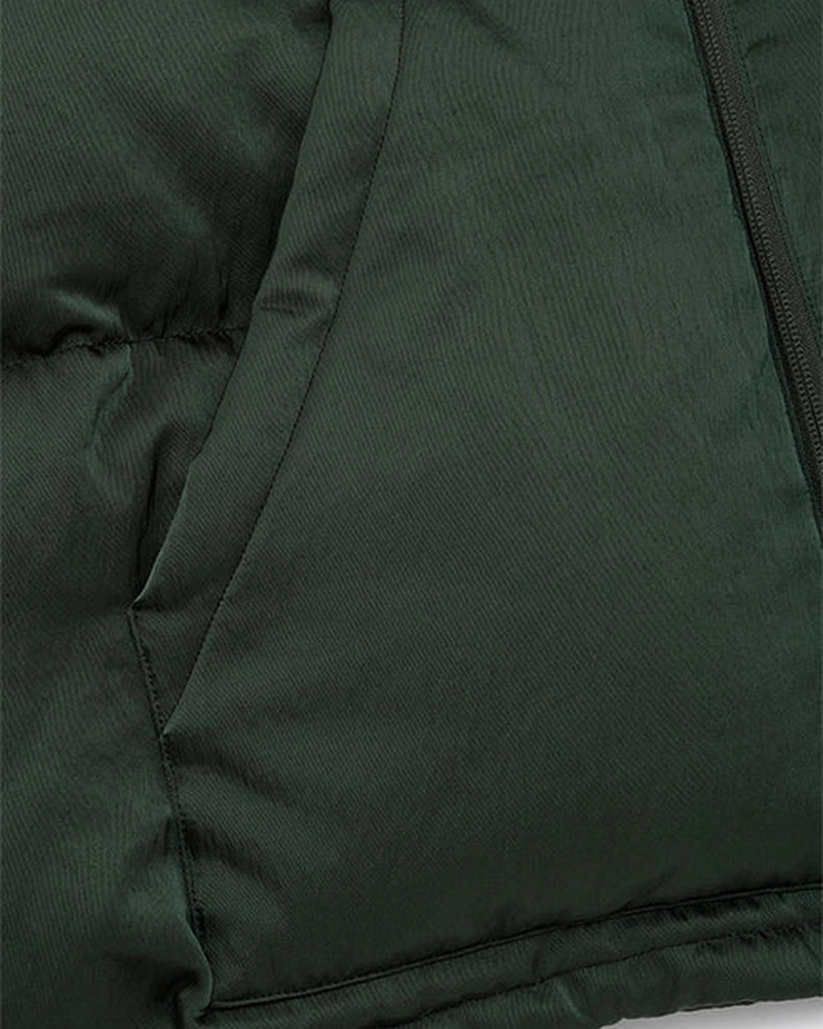 DIGAWEL × F/CE.  / Hoodie puffer jacket -F/CE.×DIGAWEL- (FSP09252U0004)