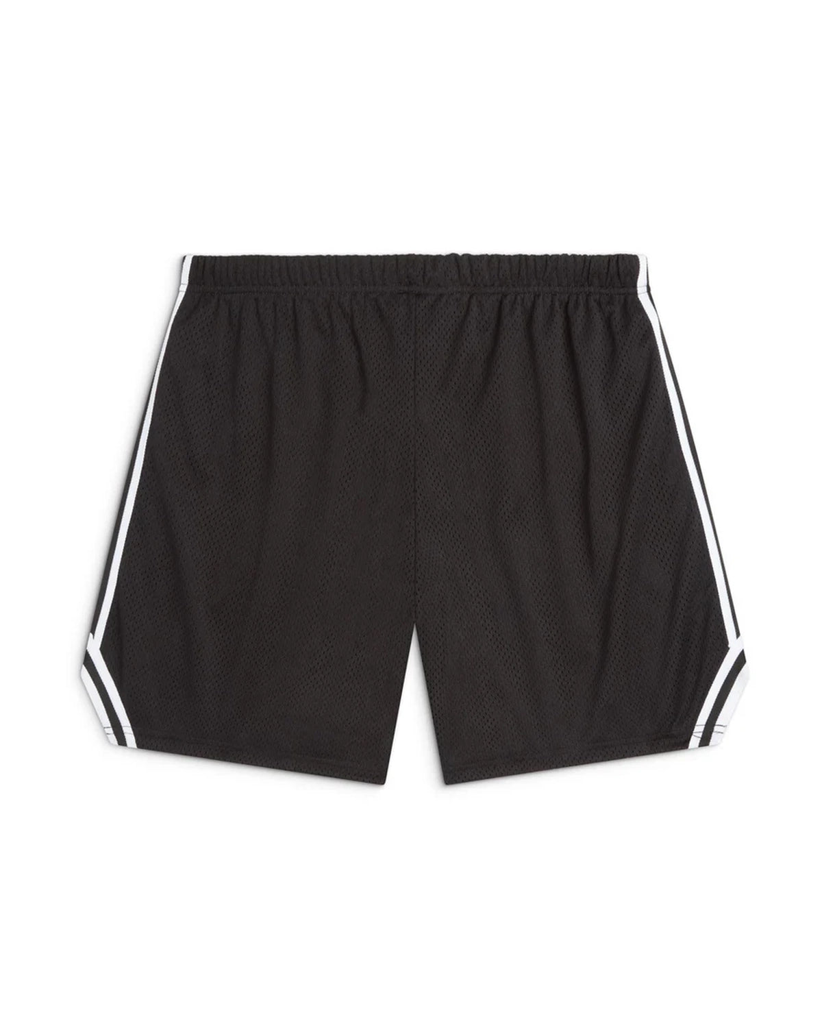 GALLERY DEPT.  / VENICE COURT SHORTS (VCS-5245)