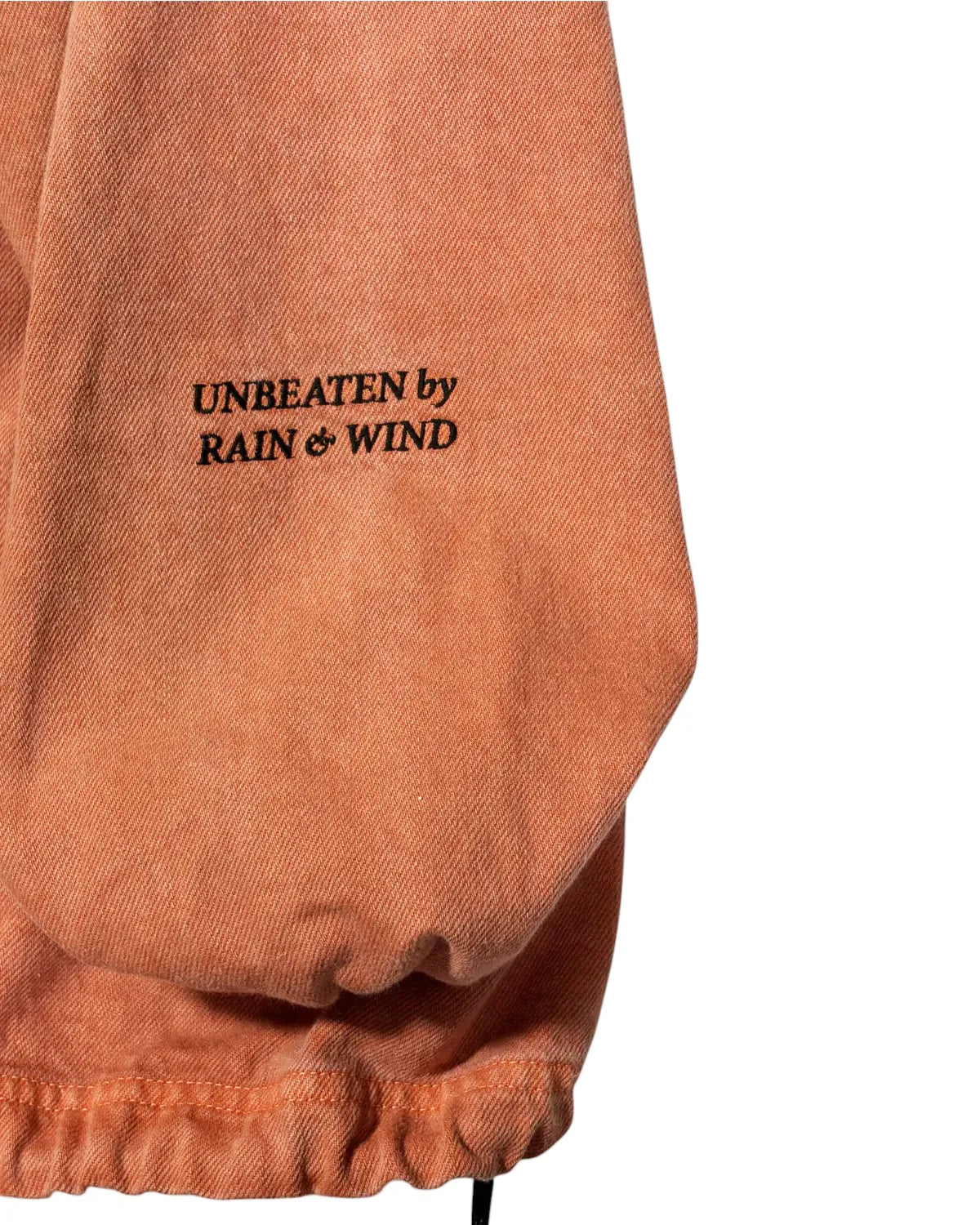 DESCENDANT / MOLE HOODED LS SHIRT PIGMENT DYE (262WVDS-SHM04)