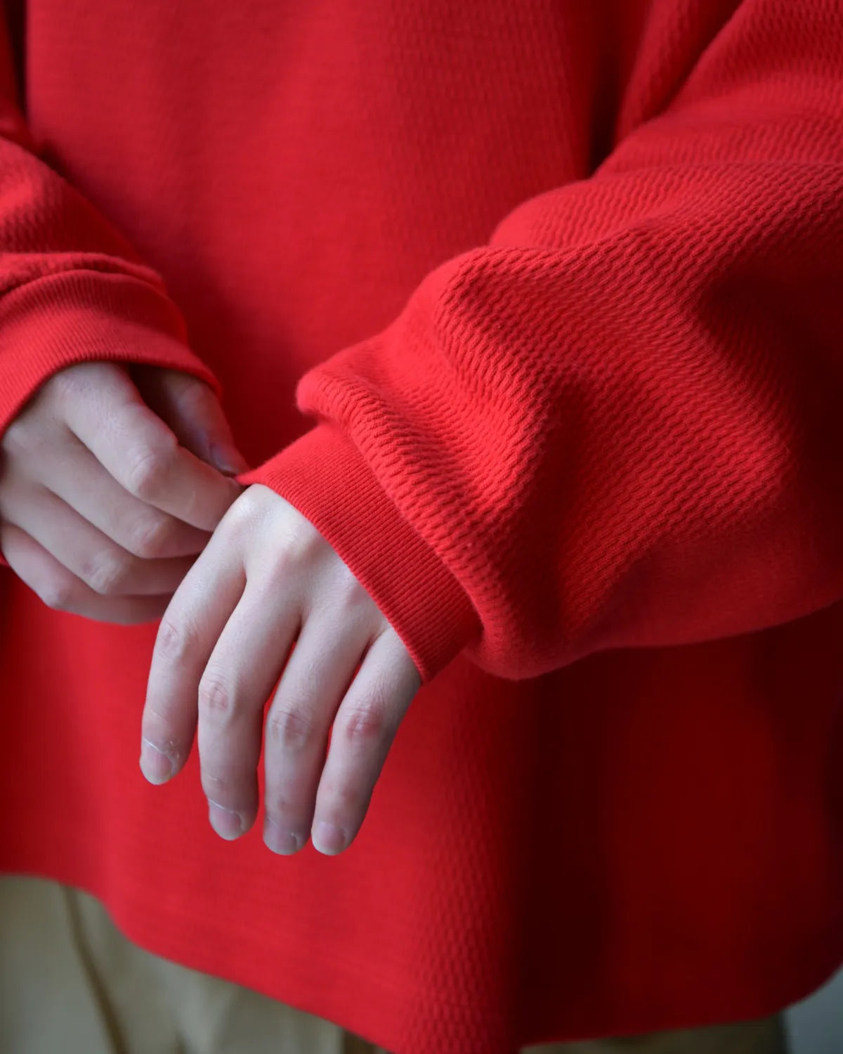 POLYPLOID / OVERSIZE LONGSLEEVE C (C-7-001-061)