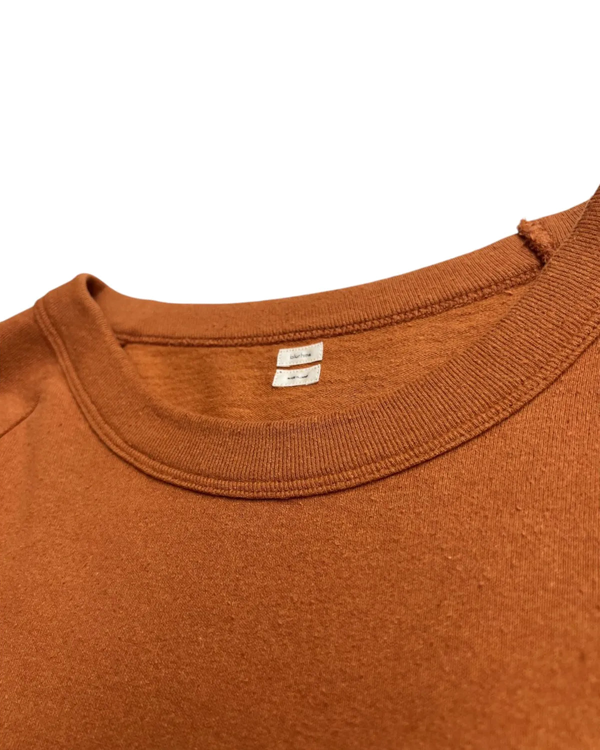 blurhms / Co/Silk Nep Raglan Tee (BHS24F037F26)