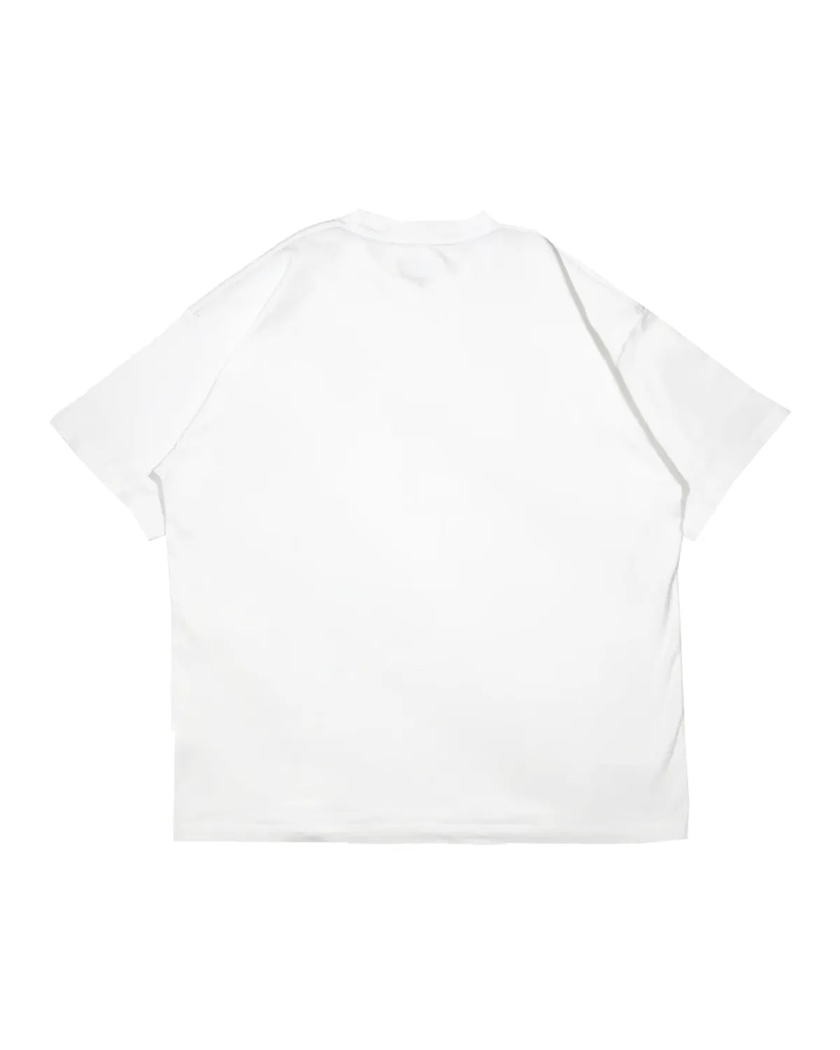 DESCENDANT / FLUKE UP ORGANIC COTTON SS (251ATDS-CSM18)