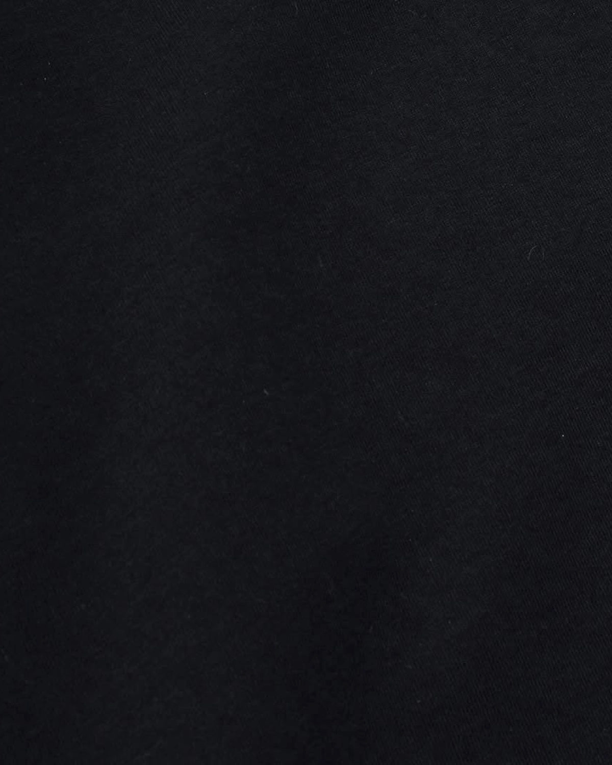 MINEDENIM × Blondie /  T-SHIRT (MND-BLD002)