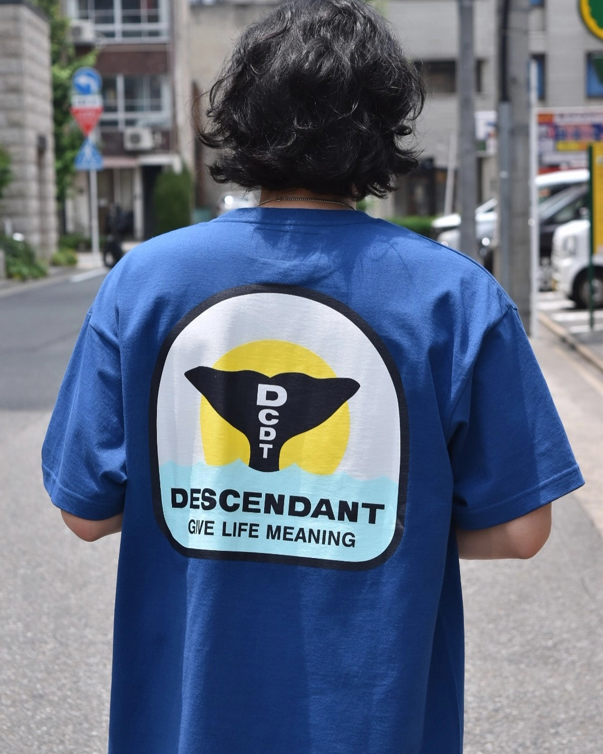 DESCENDANT / FLUKE UP SS (251ATDS-STM05S)