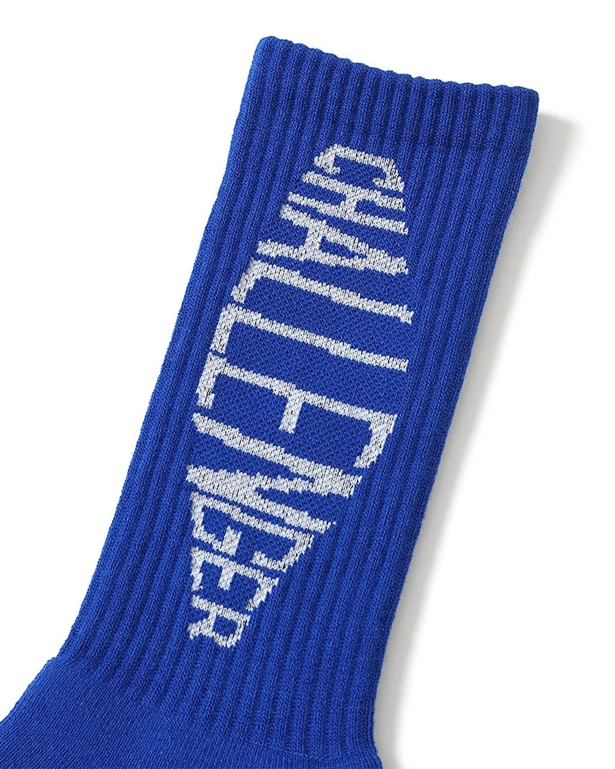 CHALLENGER / FISH LOGO SOCKS (CLG-AC 025-050)