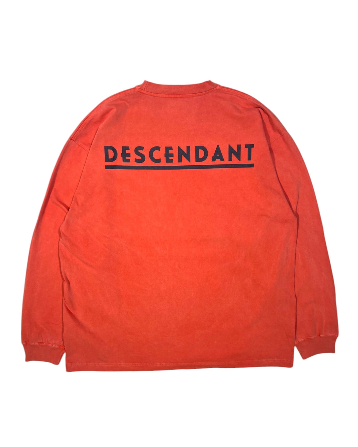 DESCENDANT / OTL ORGANIC COTTON LS PIGMENT DYE (251ATDS-CSM04)