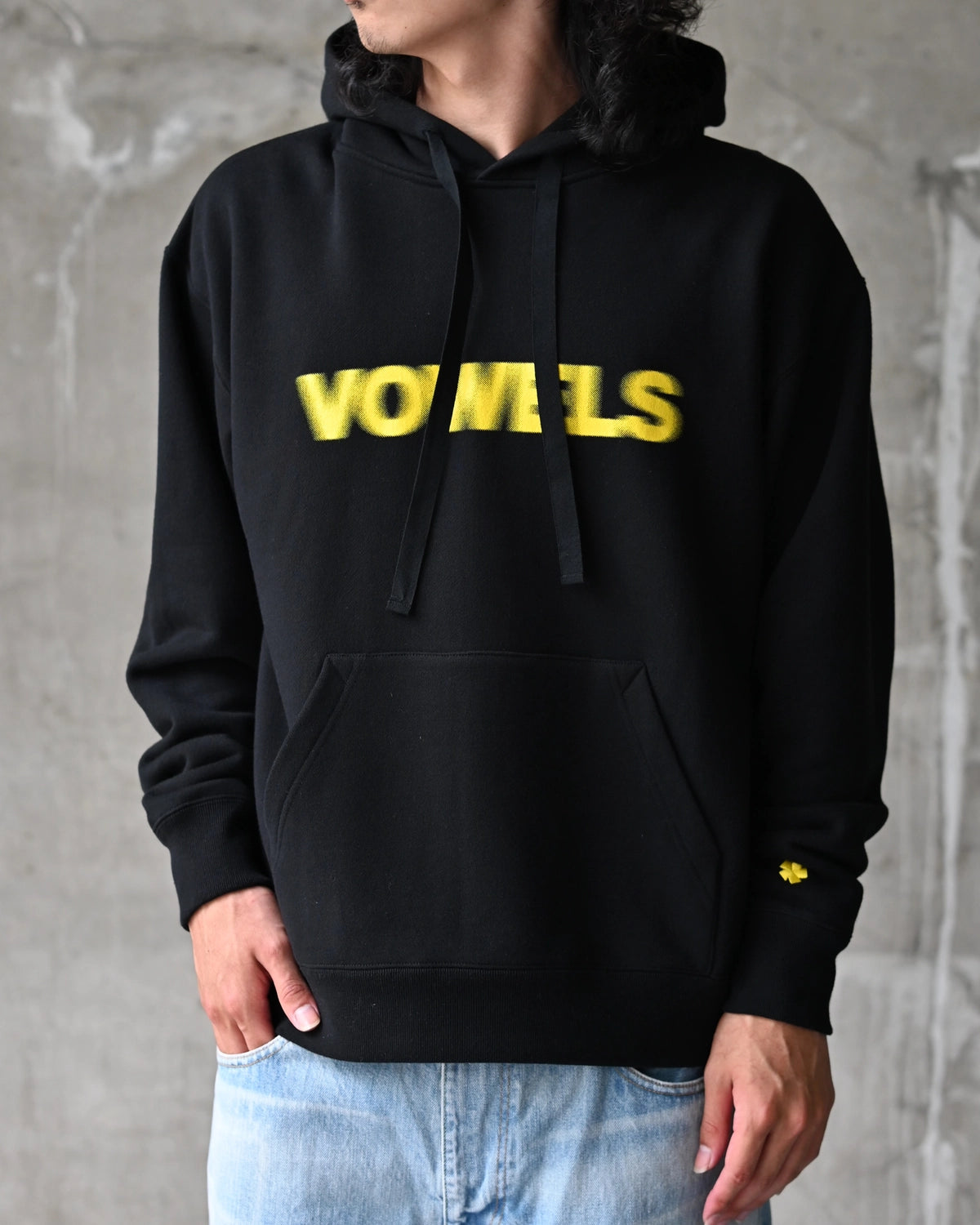vowels / Blur Hoodie (VO-26AW-H011)