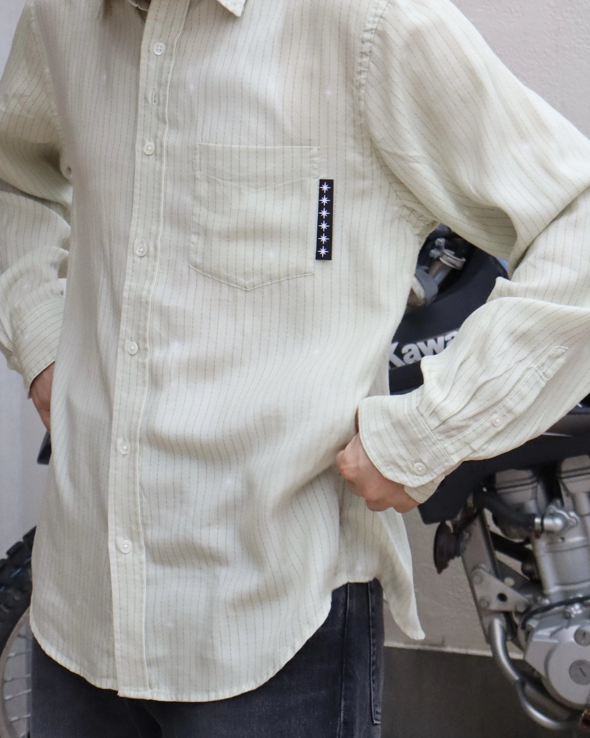 BoTT / Printed Sparkle Striped Shirt