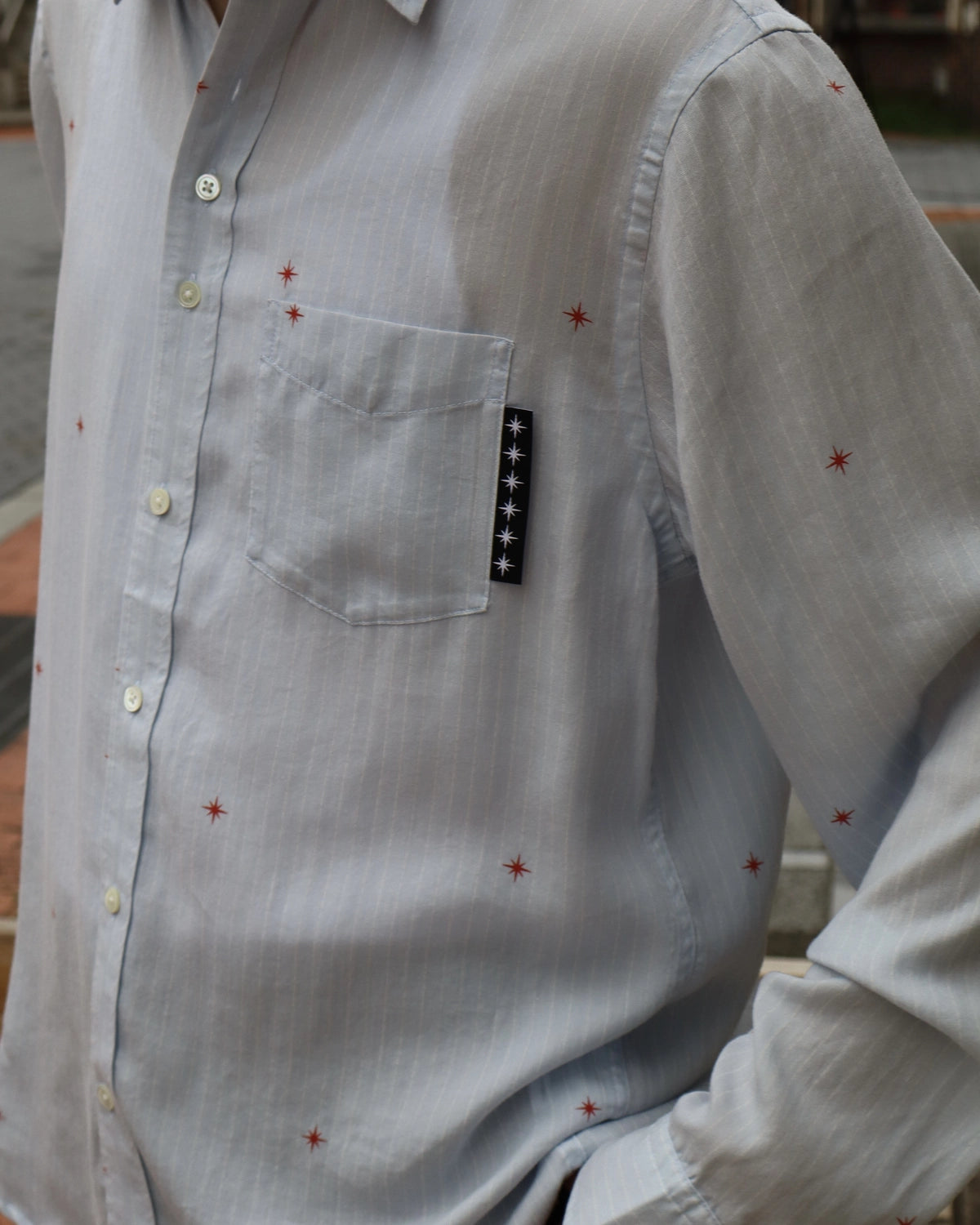 BoTT / Printed Sparkle Striped Shirt