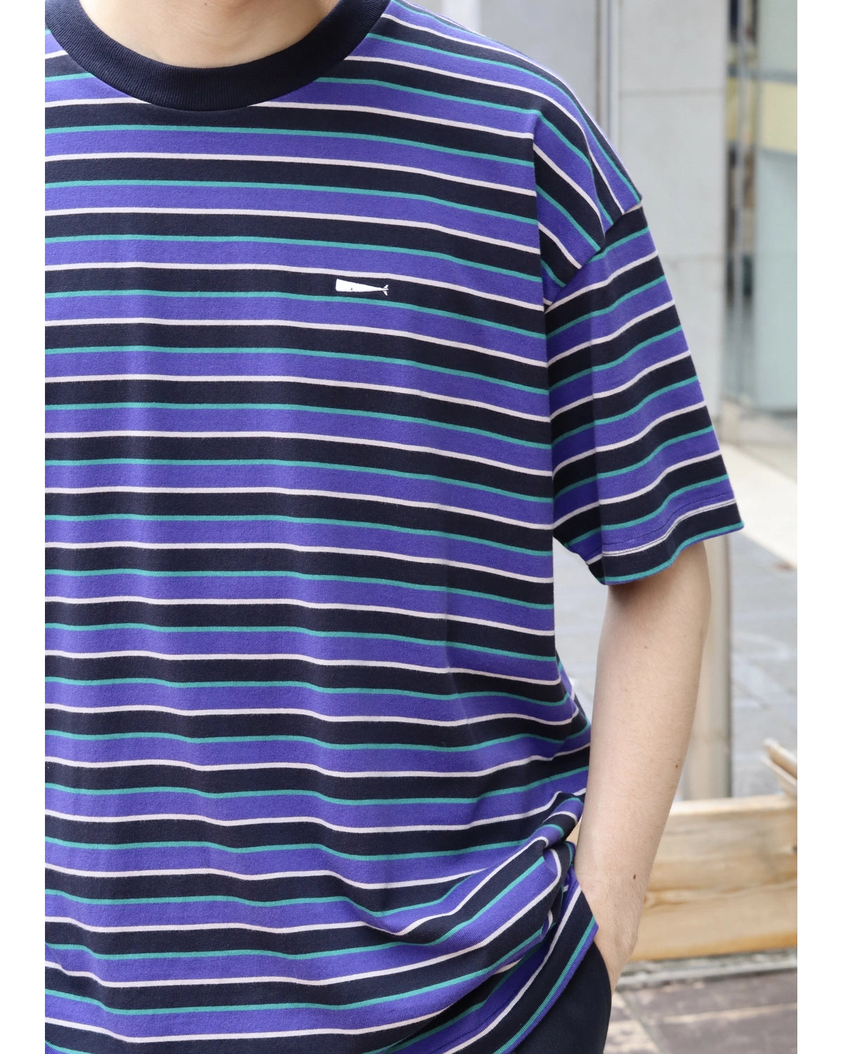 DESCENDANT / HORIZONTAL STRIPE SS (261ATDS-CSM28)