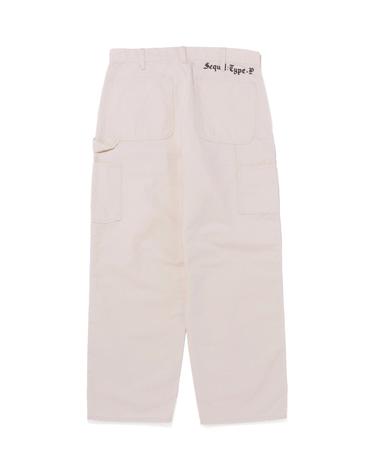 SEQUEL / PAINTER PANTS (TYPE-P)(SQ-25AW-PT-07)