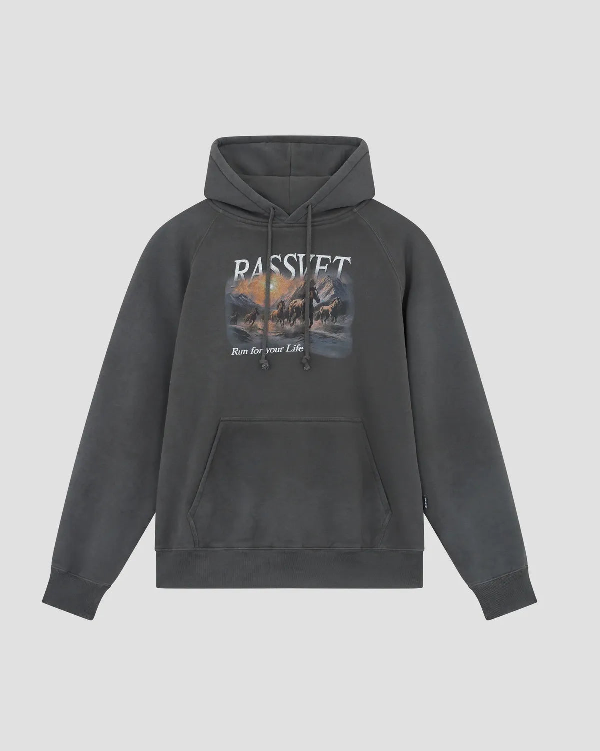 RASSVET の HORSES RAGLAN HOODIE (PACC17T024)