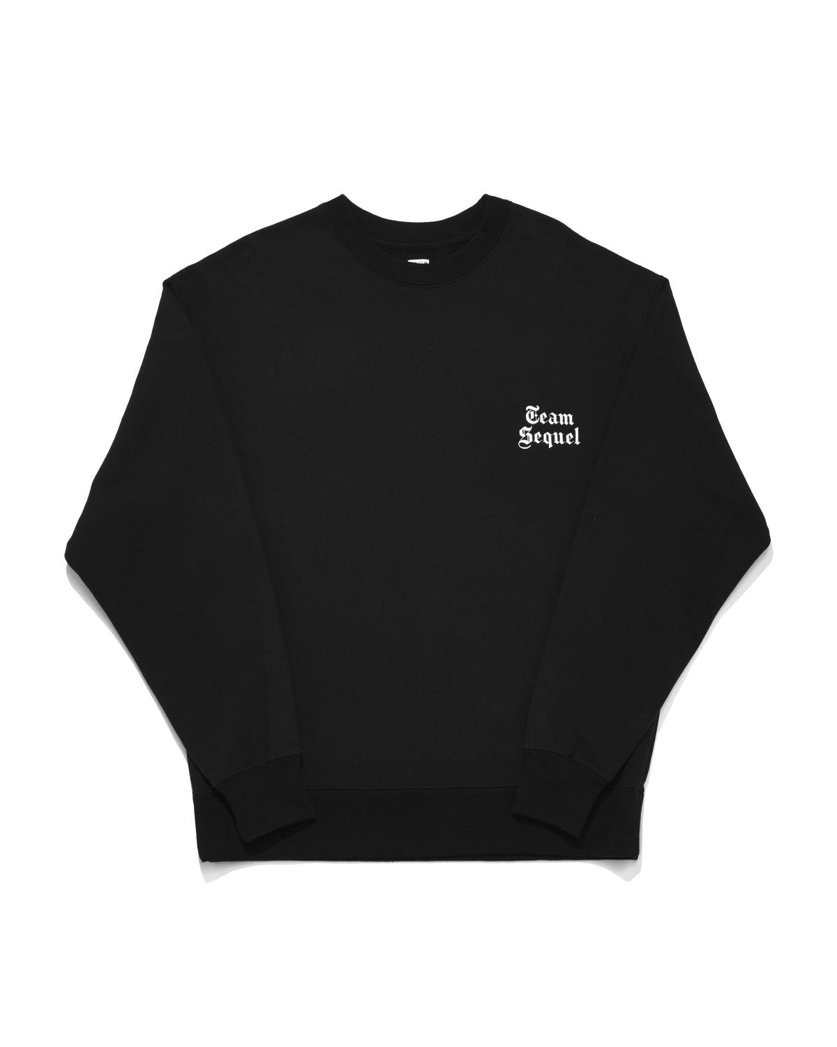 SEQUEL / CREW NECK SWEAT SHIRT (SQ-25SS-CS-07)