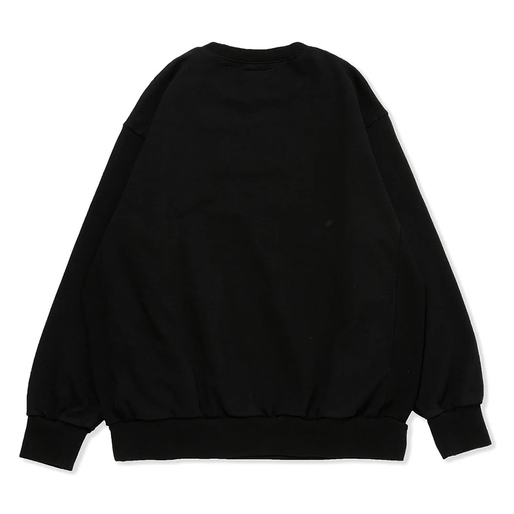 Acy / GARMENT DYE CREW NECK SWEAT