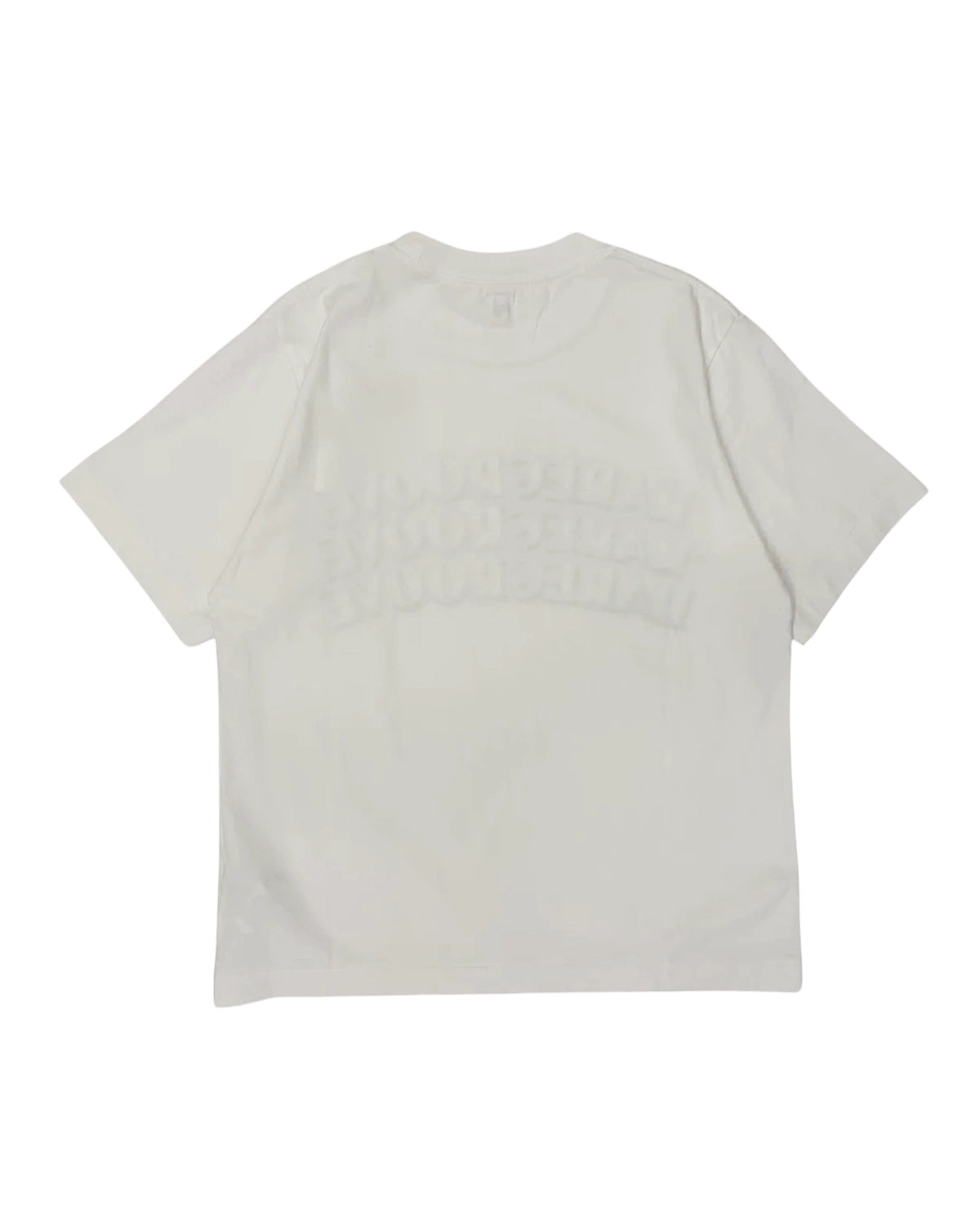 blurhmsROOTSTOCK / RAREGROOVE Print Tee STANDARD (bROOTS25S33S26B)