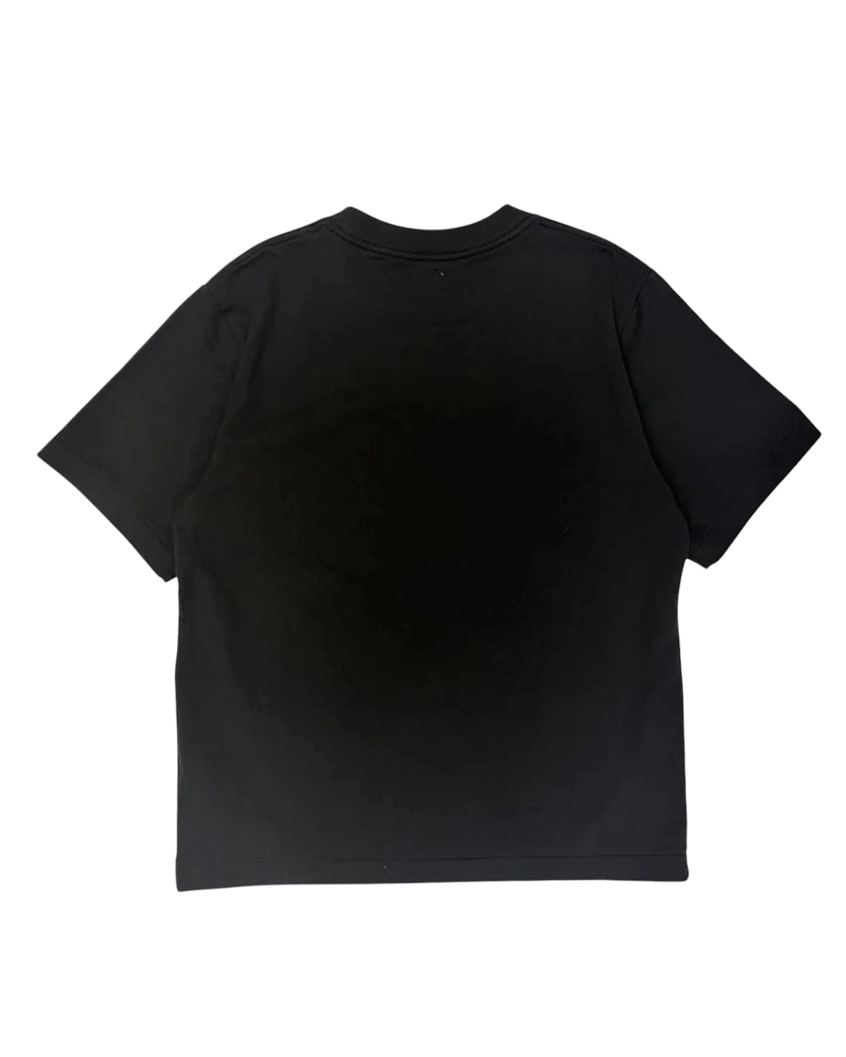 blurhmsROOTSTOCK / RAREGROOVE Print Tee STANDARD (bROOTS25S33S26B)