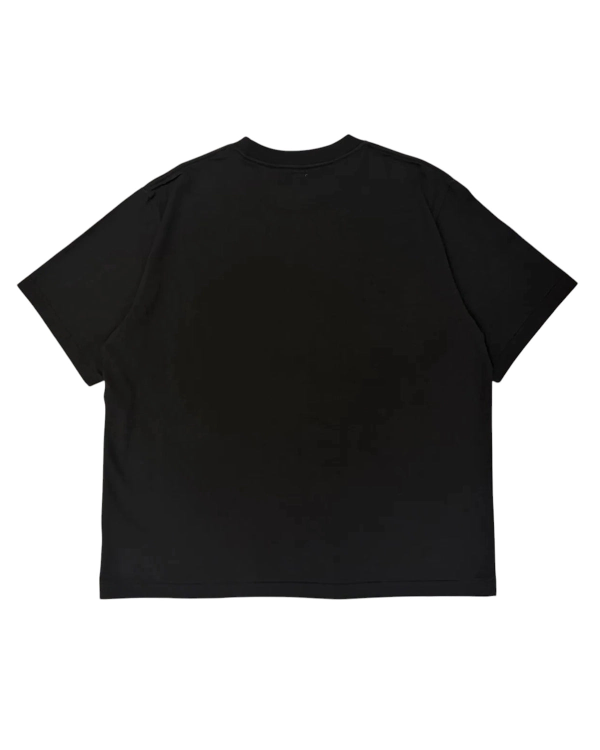blurhmsROOTSTOCK / NEBRASKA Print Tee WIDE (bROOTS25S34S26D)
