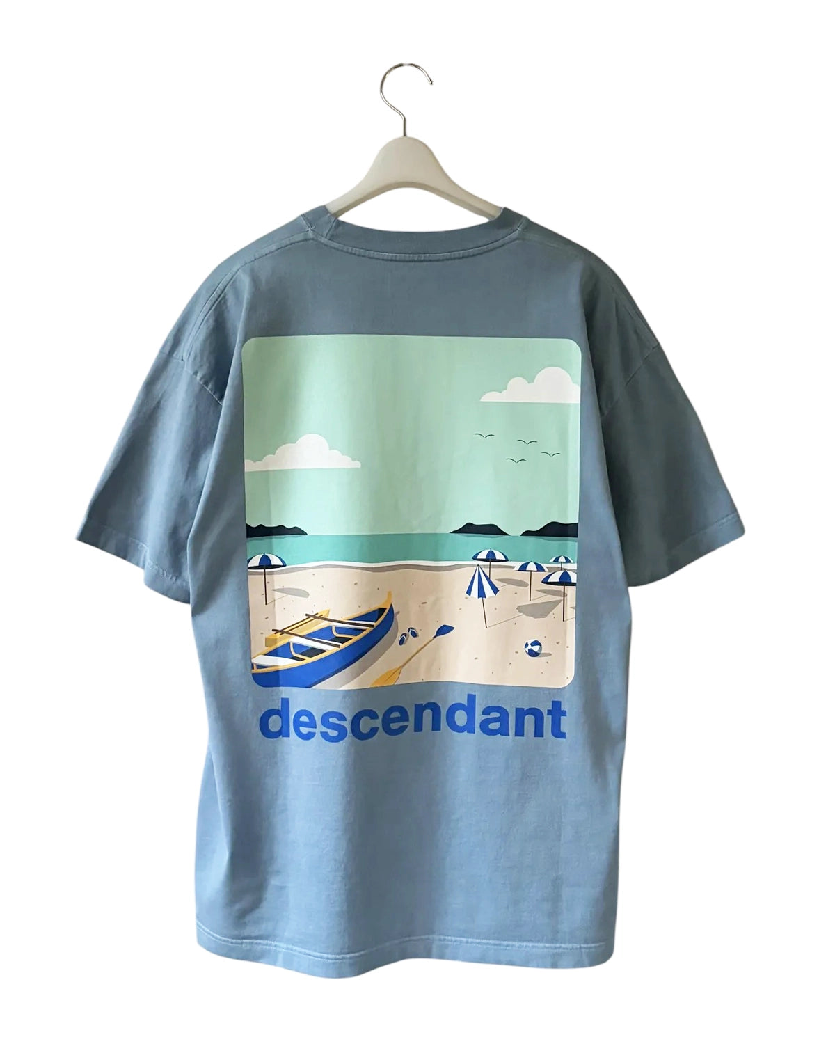 DESCENDANT / NO RECEPTION SS (261ATDS-CSM30)