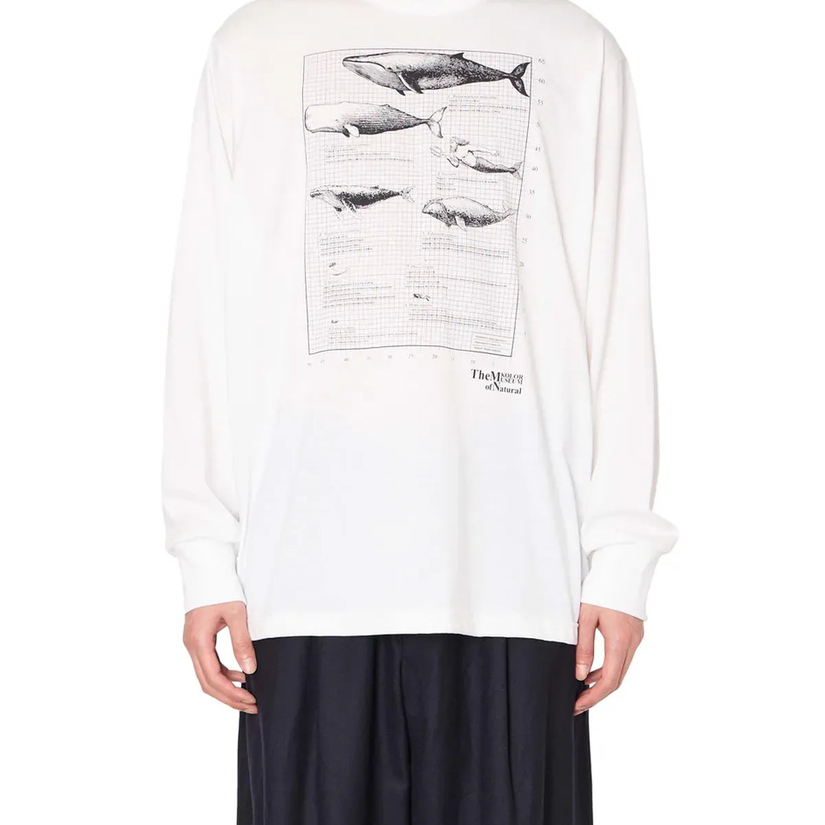 kolor（カラー）/ L/S T-SHIRT | 公式通販・JACK in the NET