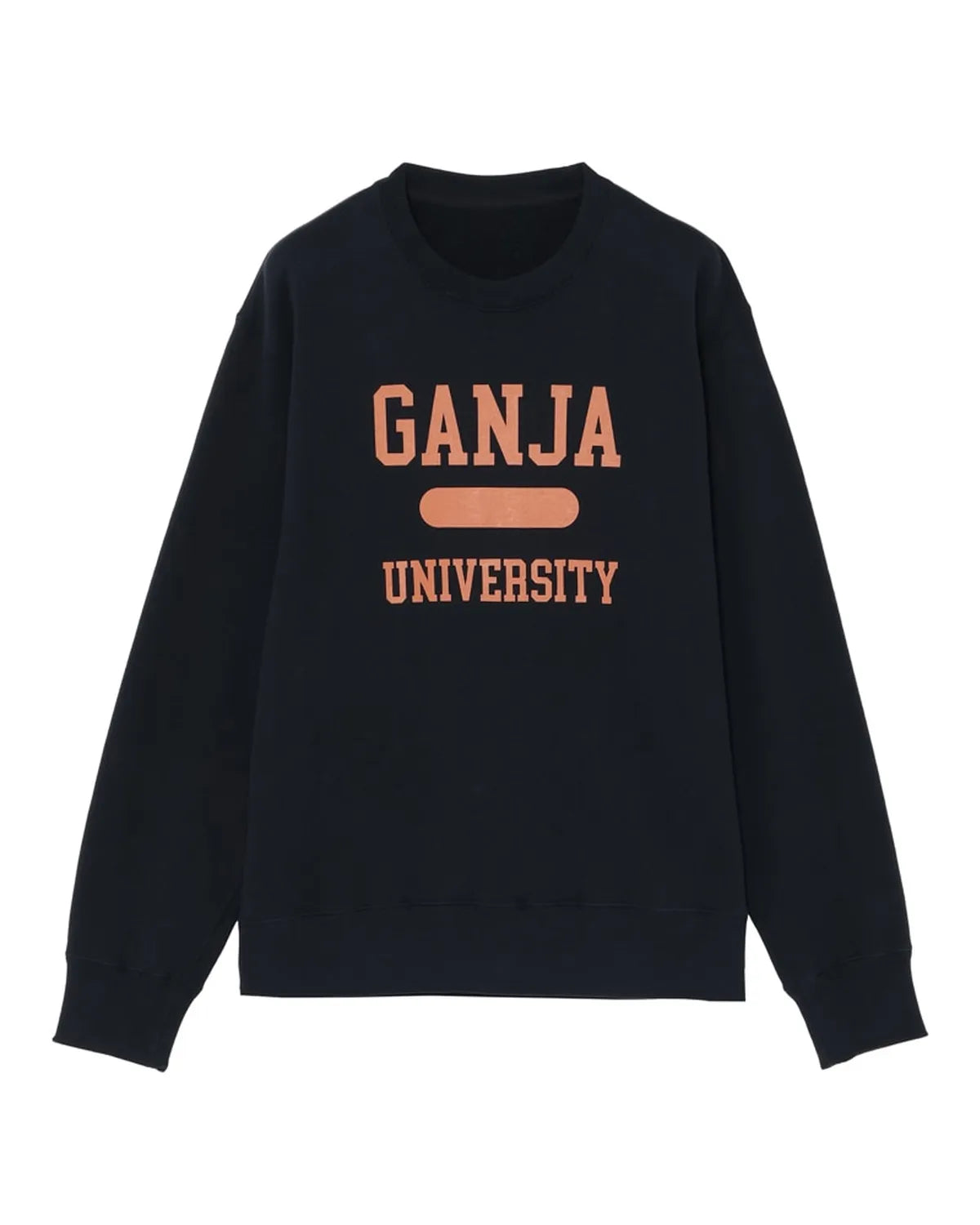 lucien pellat-finet の GRAPHIC CREW NECK SWEAT (213-43401)