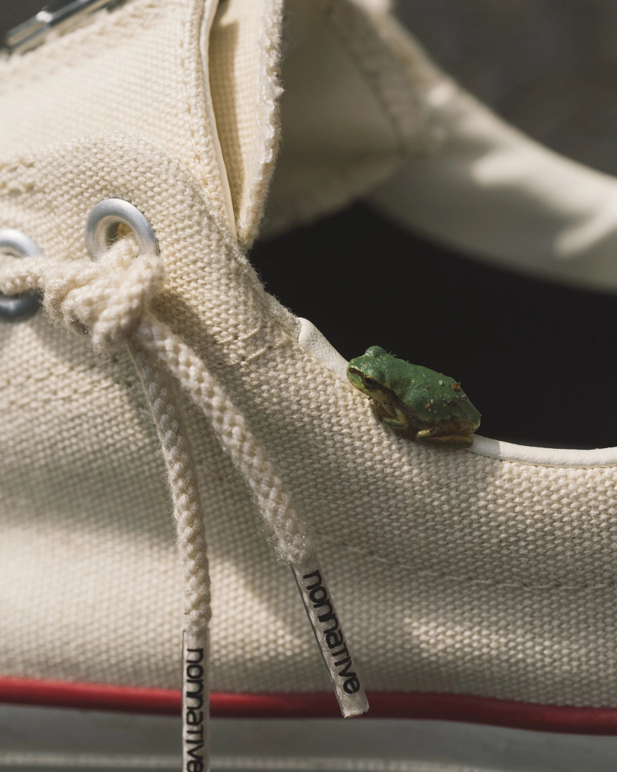 NONNATIVE × CONVERSE / ALL STAR GORE-TEX (NN-F4851)