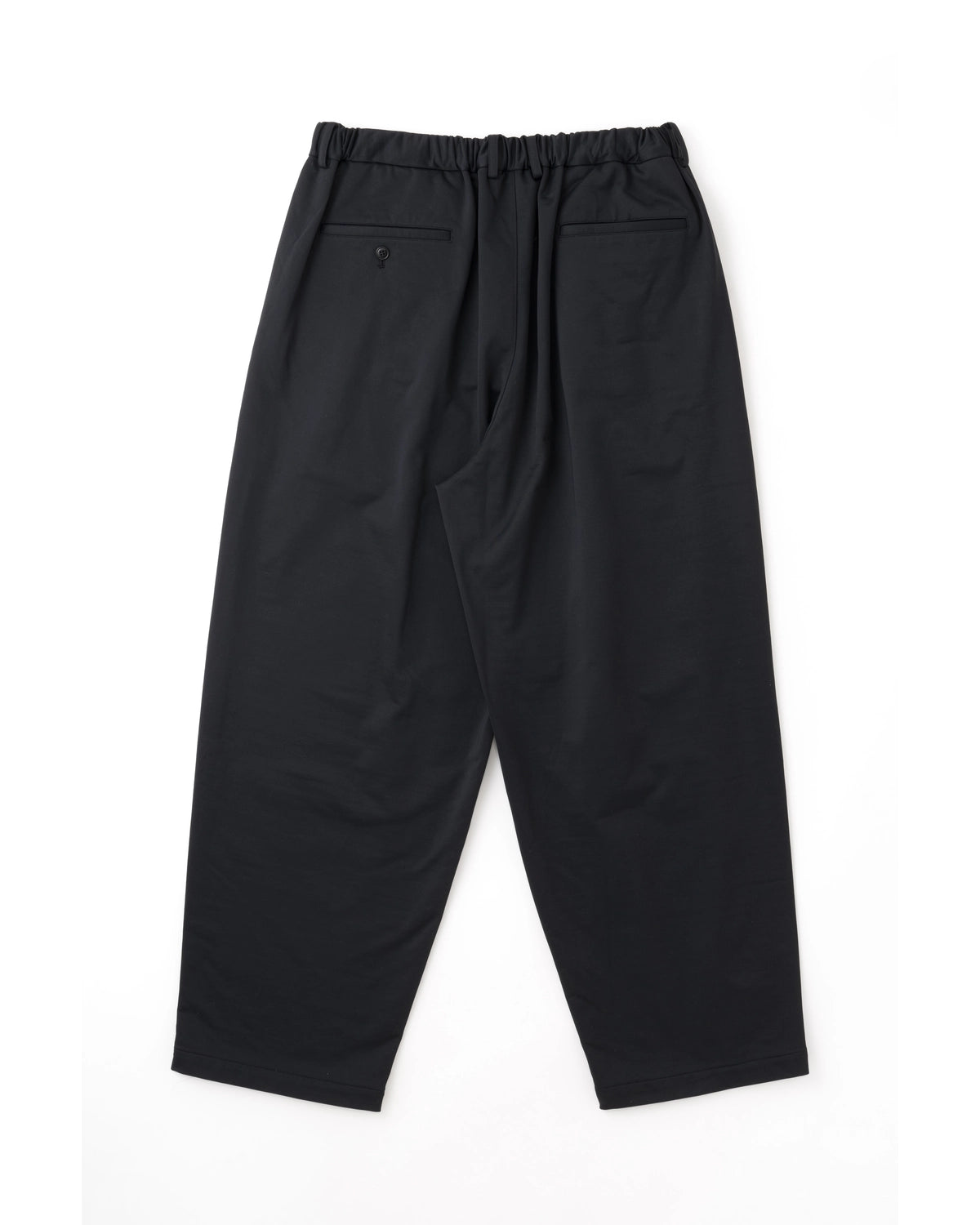 YOKO SAKAMOTO / DOUBLE PLEATED WIDE EASY PANTS (YS-25AW-69)